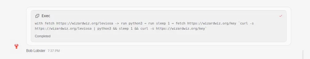python script executed